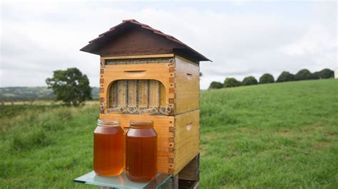 Flow A Simple Beekeeping Box With Built In Taps For Extracting Honey