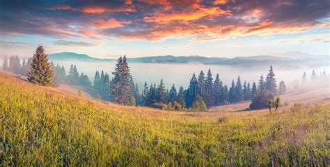 Colorful Morning Scene In The Mountains Stock Image Image Of