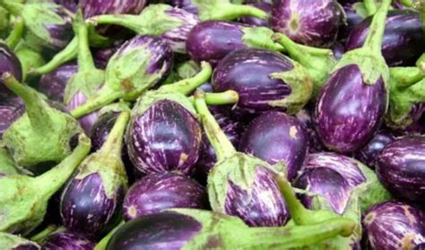 Brinjal Health Benefits Uses And Side Effects Of Eggplants
