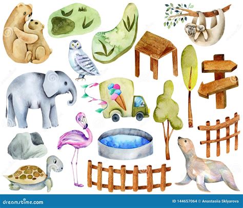 Collection Of Watercolor Animals Elements And Attributes Of The Zoo