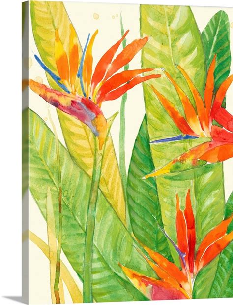 Watercolor Tropical Flowers Iii Wall Art Canvas Prints Framed Prints
