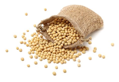 Soybean Yellow Bean Stock Photo Image Of Bowl Vegetable 109989444