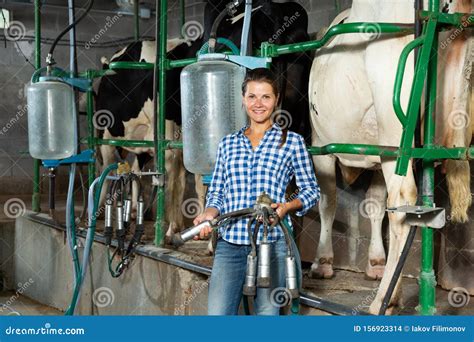 Woman Preparing For Machine Milking Of Cows Stock Photo Image Of