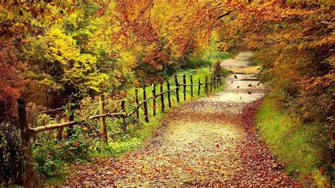 Herfst Bureaublad Achtergrond Mooie Leuke Achtergronden Voor Je