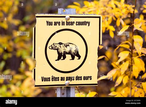 A Bear Warning Sign Found In The Yukon Territories Canada Stock Photo