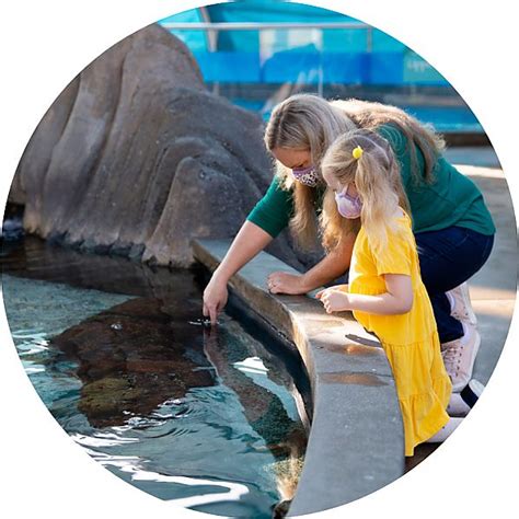 2020 Annual Report Aquarium Of The Pacific