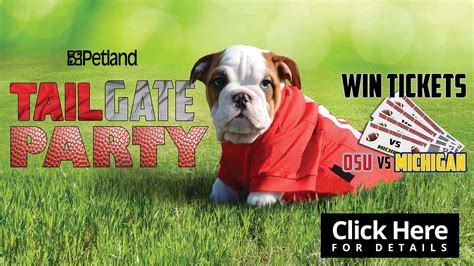 Pet adoption in the youngstown area: Adopt Pets, Puppies, Food & Supplies - Petland Carriage ...