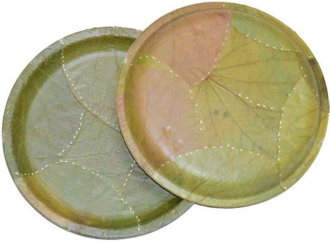 Buy Ssanvi 100 Bio Degradable Disposable Sal Leaf Plates Party Plates