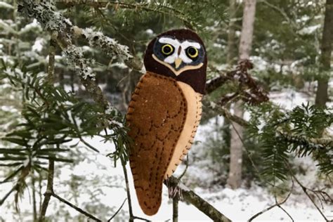 The Spiffy Spectacled Owl Downeast Thunder Farm