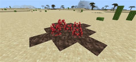 Mcpebedrock Bimboom Texture Pack Mcpack Mcbedrock Forum