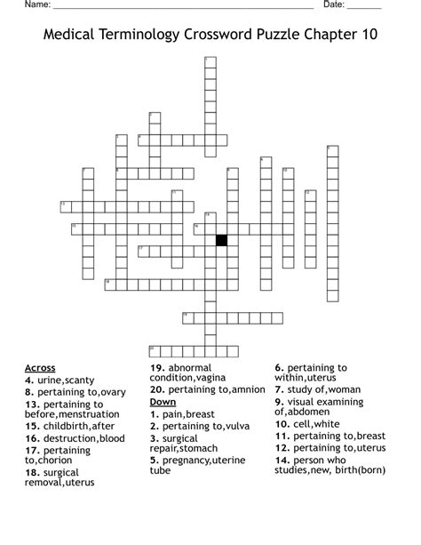 Medical Terminology Crossword Puzzle Chapter 10 Wordmint