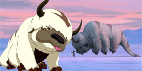 Avatar Why Appa Has Six Legs In Last Airbender