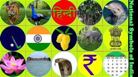 National Symbols Of India भारत के राष्ट्रीय चिन्ह Indian National