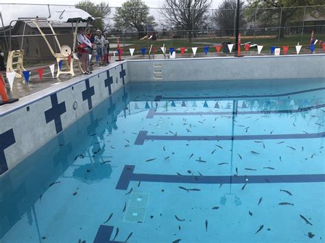 The City I Live In Filled A Public Pool With Trout To Teach Kids How To