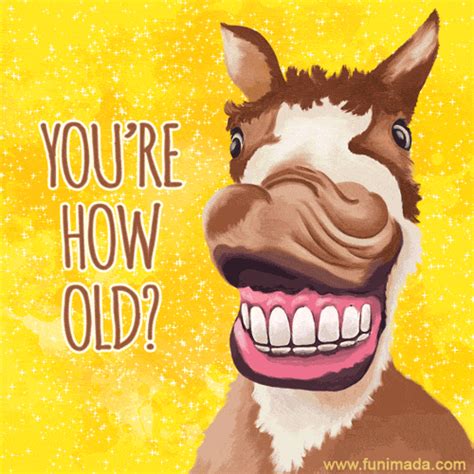 Birthday Card Funny Happy Birthday  Awesome Greeting Cards