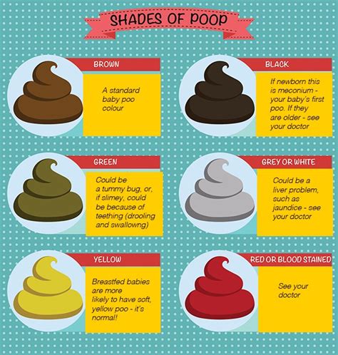 Know Your Poo Chart