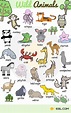 Wild Animals: List Of Wild Animal Names In English With Images - 7 E S L