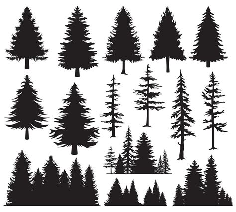 Pine Tree Vectores Iconos Gráficos Y Fondos Para Descargar Gratis
