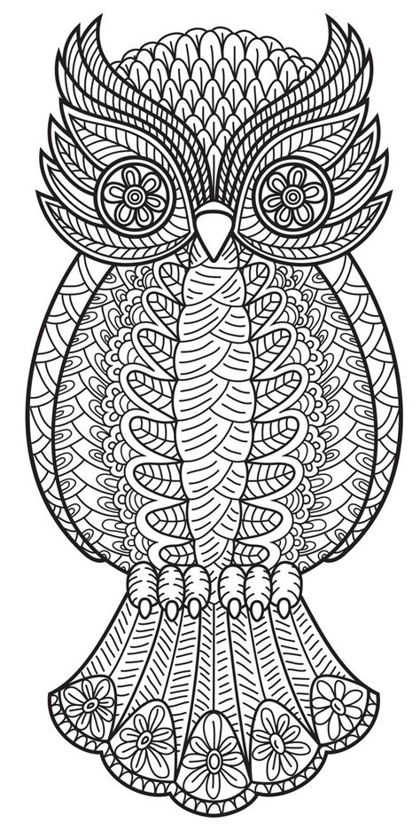 An Owl From Patterns Coloring Book Vol 3 Diy Homer