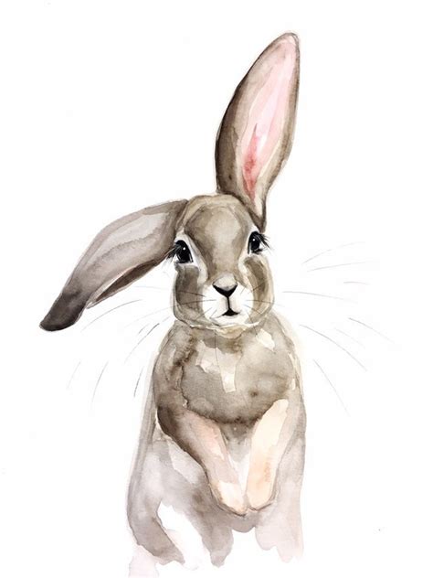 Flopsy Bunny Watercolor Print Etsyde Bunny Watercolor Bunny