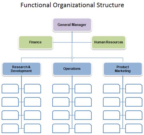 Functional Organizational Business Structure Dougsguides