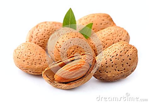 Almonds Nuts With Leaves Stock Image Image Of Almonds 41270939