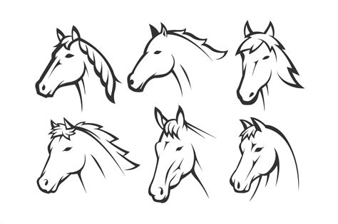 Horse Head Vector Line Art Illustration Graphic By Hartgraphic