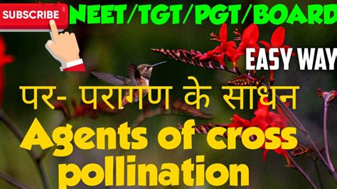 Cross pollination increases the adaptability of the offspring towards changes in the environment. Agents of cross -pollination (पर-परागण के साधन ) part-15 ...