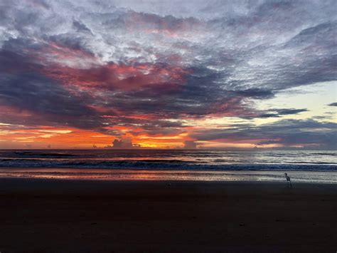 Ormond Beach Sunrise Photo Wild Boyz Photography
