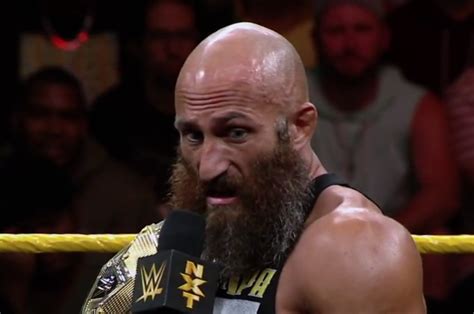 Tommaso Ciampa Is Injured Say Reports