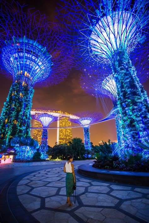 A Singapore Icon Gardens By The Bay Pics Tickets Hours And Tips