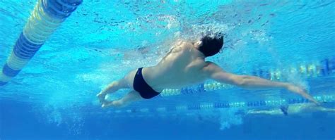 Teknik Dasar Renang Gaya Punggung Backstroke Ayo Berenang