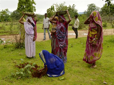 file women planting trees umaria district mp india wikimedia commons