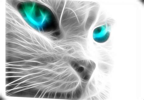 Картинка Кота С Голубыми Глазами Telegraph
