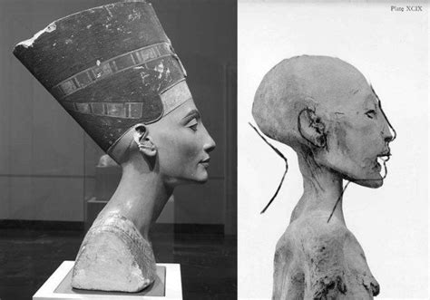 queen nefertiti s tomb as the elder lady mummy from the same tomb queen tiye