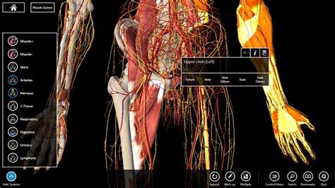 *** try it for free on all your devices!!! Essential Anatomy 3 app for Windows in the Windows Store