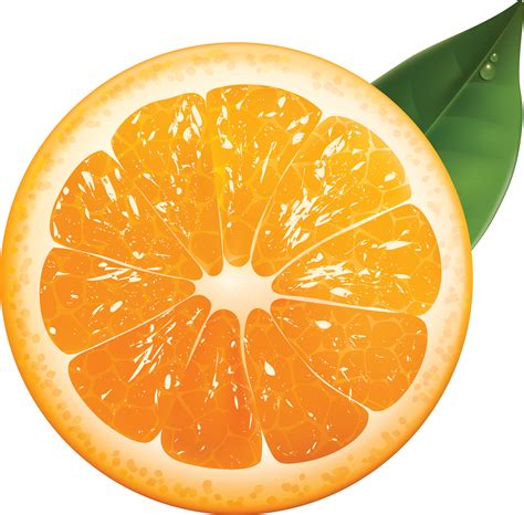 Orange Png Discover And Download Free Orange Png Images On Pngitem