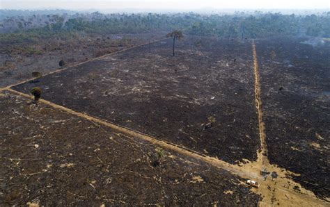 Avioneta Cae En La Amazonas Murieron Las 14 Personas Que Iban En Ella