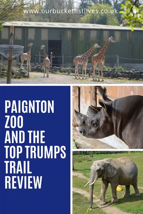 Paignton Zoo And The Top Trumps Trail Review Where To Go With Kids