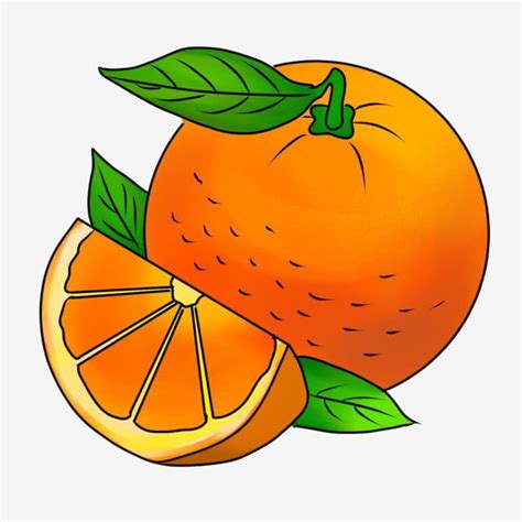 Dibujos Animados Vegetales Naranja Productos Agricolas Cosecha