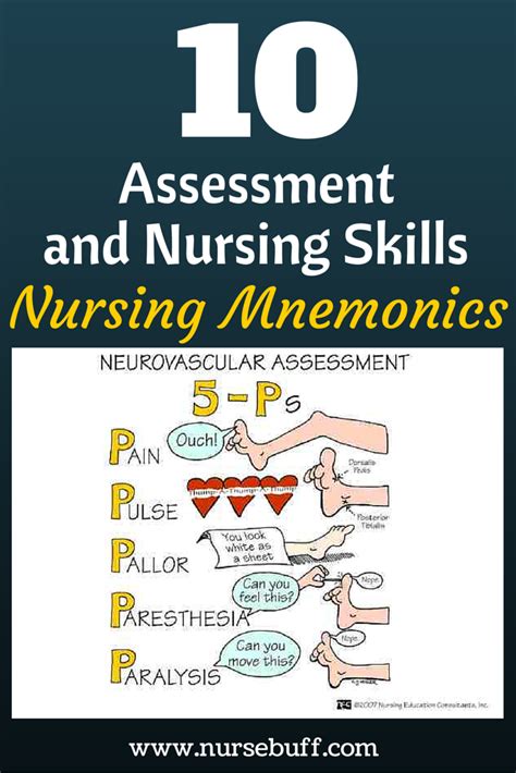 10 Nursing Assessment Mnemonics You Should Know Now