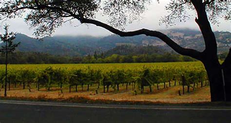 Napa Valley Wine Tours Pure Luxury Transportation