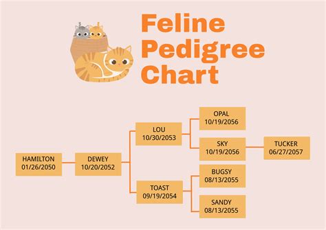 FREE Pedigree Chart Template - Download in PDF, Illustrator | Template.net