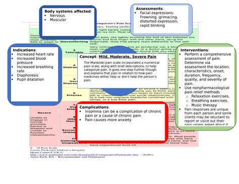 3 Pain Scale Concept Map Studocu