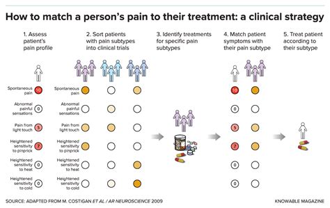 What Are The 3 Types Of Pain Slideshare