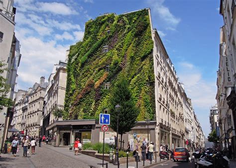 The Oasis Of Aboukir Green Wall By Patrick Blanc For Paris Design Week