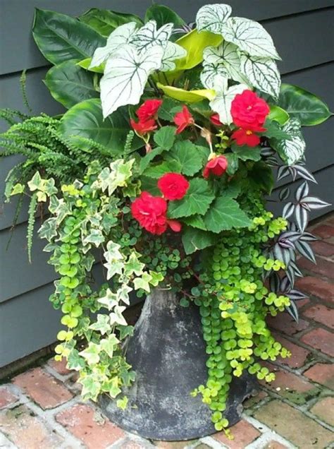 8 Colorful And Inspiring Container Gardening Ideas Talkdecor