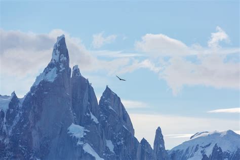 Hermoso Pico Famoso Cerro Torre En Las Montañas De La Patagonia
