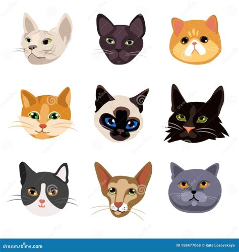 Cats Heads Set Of Breeds Of Cat Print From Faces Cute Animals Cute