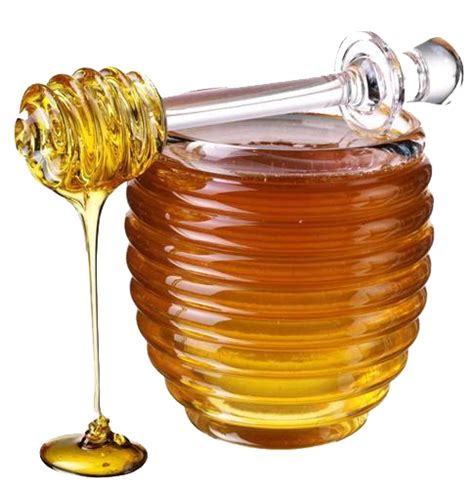 Мед PNG мёд